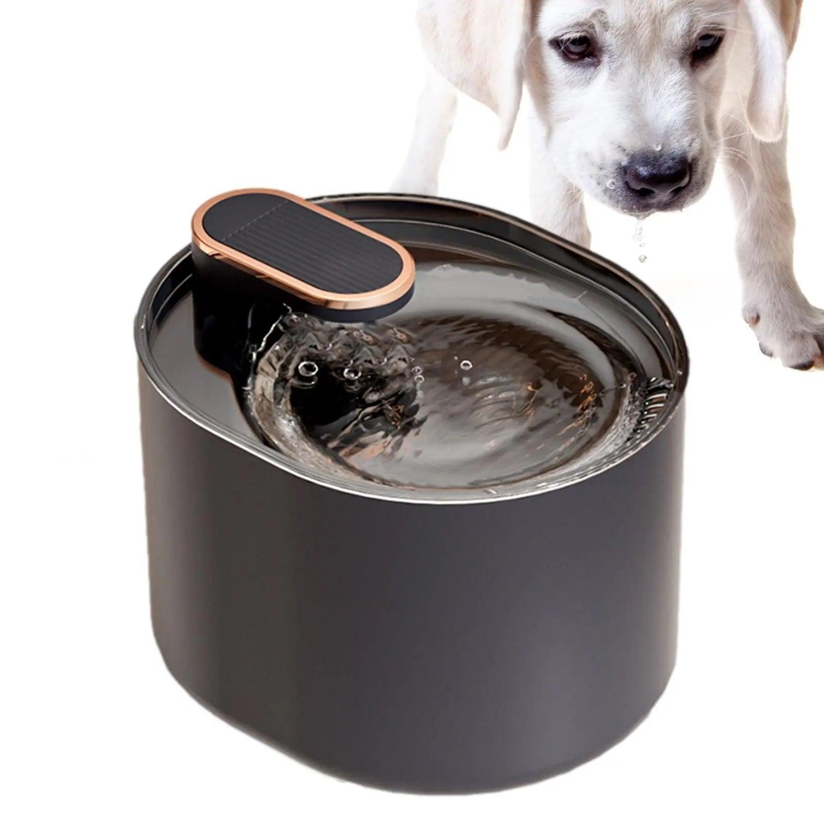 Bebedor automático para cães e Gatos Fonte de água animais de estimação