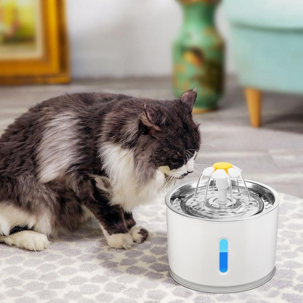 Fonte de água para Gato e cachorro tigela filtro de carvão ativo automático