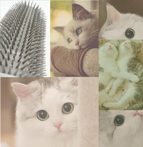 Brush For Cats - Escova Massageadora De Canto Para Gatos